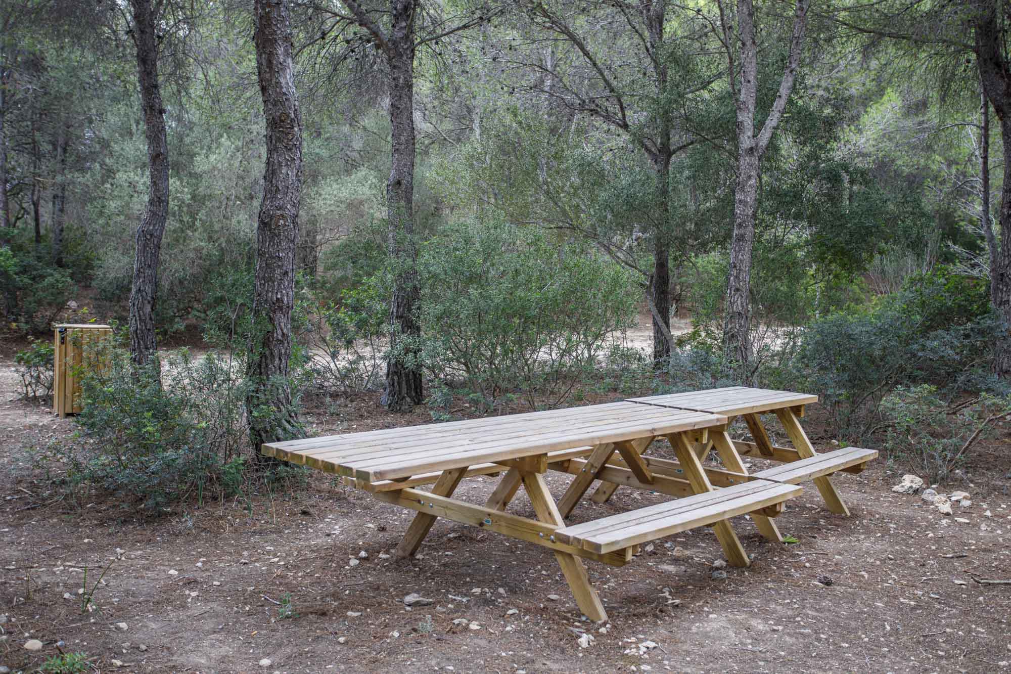Picnic 1